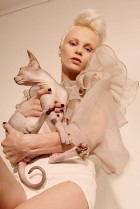 NudeLookSphynx