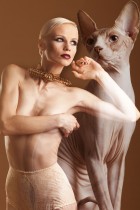 NudeLookSphynx